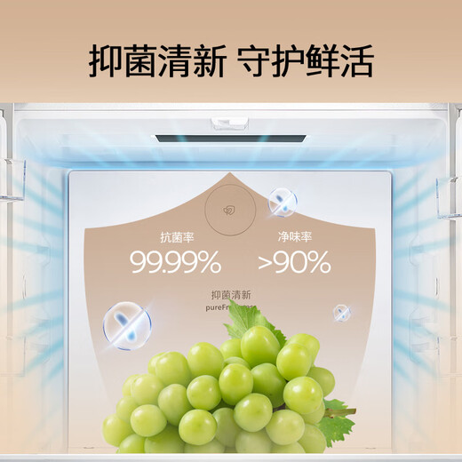 Siemens (SIEMENS) 497-liter unbounded cross star ultra-thin micro flat-embedded refrigerator home appliance national subsidy embedded first-level energy efficiency KC502080EC