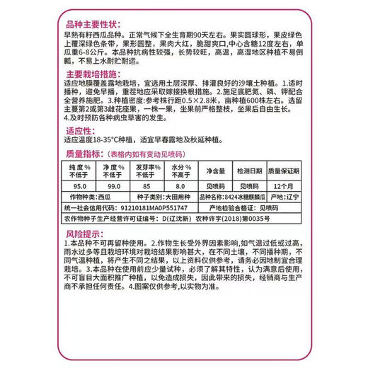 Chihui 8424 Kirin small-seeded watermelon seeds, seedless, extra large, high-yield, giant sweet king, southern four-season vegetable and fruit seeds, Kirin 8424 watermelon seeds, original 3 packs