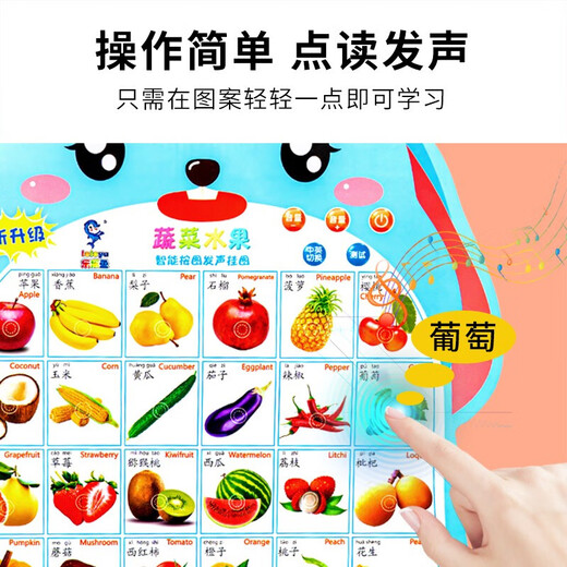迪诺米宝宝启蒙有声挂图发声儿童早教语音识字卡中英文点读玩具  3张组合人物+蔬菜水果+动物电