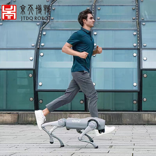 Jingtianbote GO2 Robot inteligente de cuatro patas, duración de la batería de doble batería, voz GPT, versión de programación inteligente, robot biónico, pantalla de rendimiento, perro de cuatro patas, GO2-Pro+control remoto+batería larga
