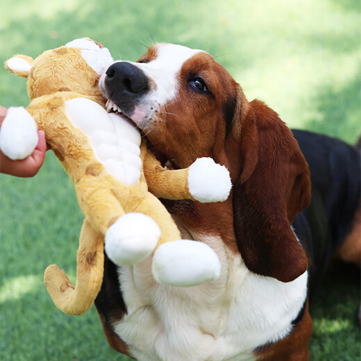 GiGwi dog toy, large dog toy, teeth grinding, sound-resistant, bite-resistant, tug-of-war, self-pleasure and boredom relief artifact, plush pet toy