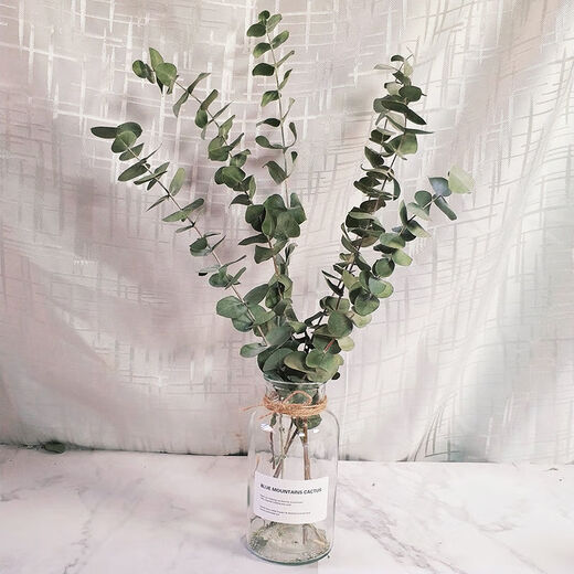 AIMAN dried flowers eucalyptus leaves Nordic style ins Nordic style small fresh living room ornaments diy home decoration ornaments SN Lover's grass a bunch without bottle 250g to dry