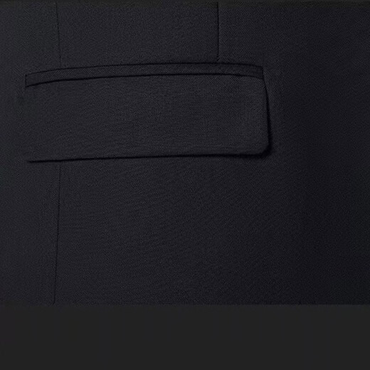 
Red Dragonfly (RED DRAGONFLY) Men's Business Suit Jacket Young and Middle-aged Business Work Slim Professional Suit Jacket Male Wedding Groom Black 3XL [125-140Jin[Jin equals 0.5 kg]]