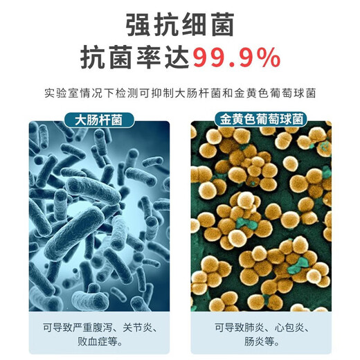 Camellia Antibacterial Rice Barrel Rice Storage Box Flour Barrel Rice Cylinder Storage Box Rice Box Moisture-proof 10 Jin Jin equals 0.5 kg