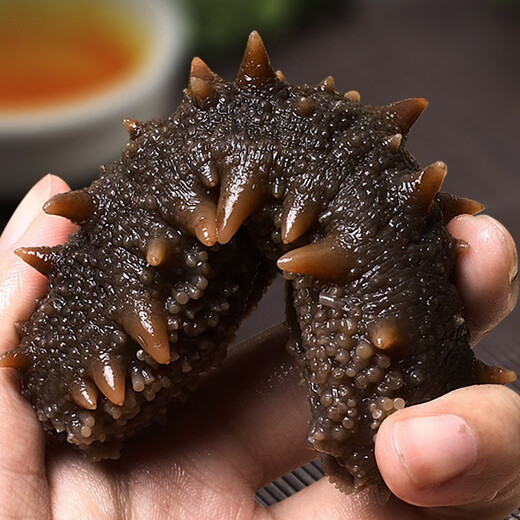 Dongshang Yupin Sea Cucumber Ready-to-Eat Dalian Fresh Wild Liao Sea Cucumber Solid 75% Seafood Gift Box Single New Year Goods 500g 16-19 Pieces/Jin Jin is equal to 0.5 kg