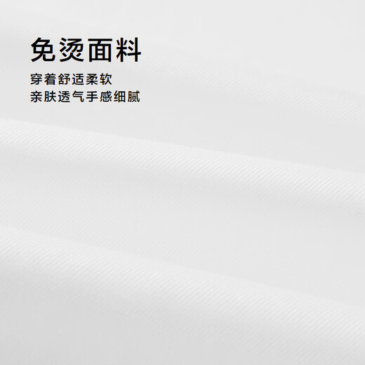 Hla Hailan Home Langarm Shirt Männer Frühling 25 Lapel Business DP No-Eisen-Shirt Männer