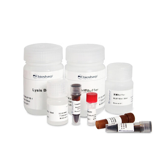 BIOSHARP LIFE SCIENCES 白鲨  BL671B 细胞膜蛋白和胞浆蛋白提取试剂盒 100T/盒