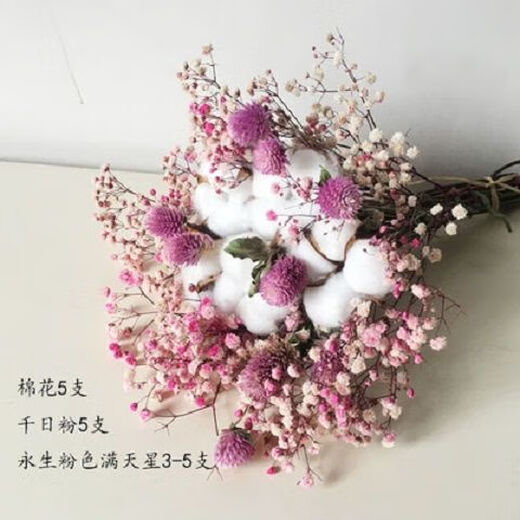 AIMAN dried flower pine cones, cotton eucalyptus leaves dried flowers, Nordic style ins small fresh home decoration ornaments bouquet pine cones, eternal pink baby's breath + thousand day powder + cotton + bouquet, dried flower bag