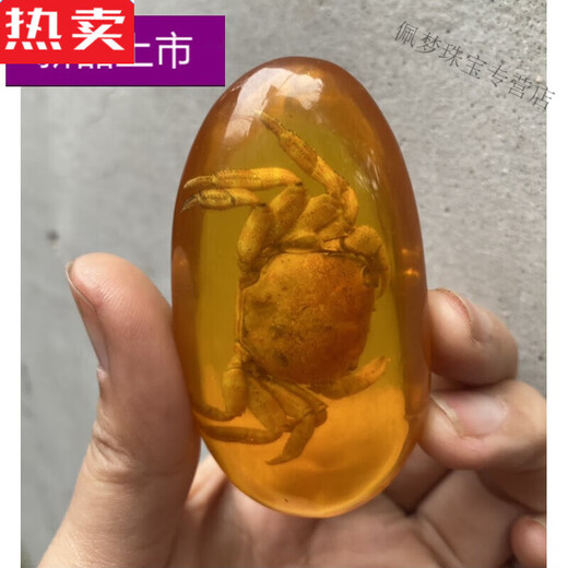 SNQP high-end quality amber insect specimens, artificial amber true cicada specimen pendants, hand-held insect amber centipedes