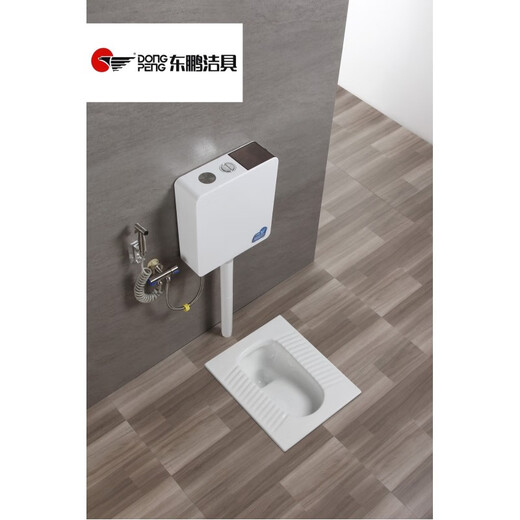 Dongpeng ceramic all-in-one squat toilet complete set of bathroom toilet deodorant squat toilet household toilet squat toilet squat toilet with elbow front water outlet and gray water tank package