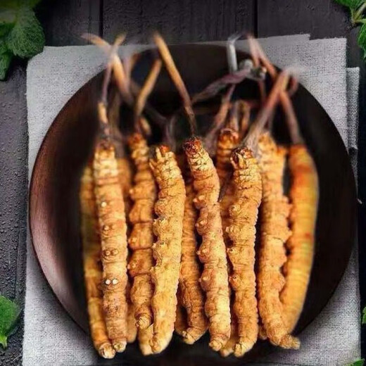Шеф деревни Цянь [10 граммов сломанной травы, с которыми сталкивались] Cordyceps Sinensis Head Stage Cordycess sinensis cordyceps sinensis dry cordyceps wine