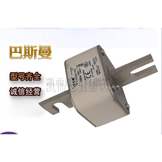 XMSJ巴斯曼170M6167  170M6169低压熔断器 170M6169