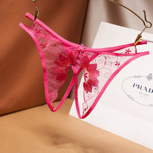 Please Confidential Shipping Fancy Sexy Panties Women's Transparent Mesh Embroidered Sexy Thong Adult Room Red