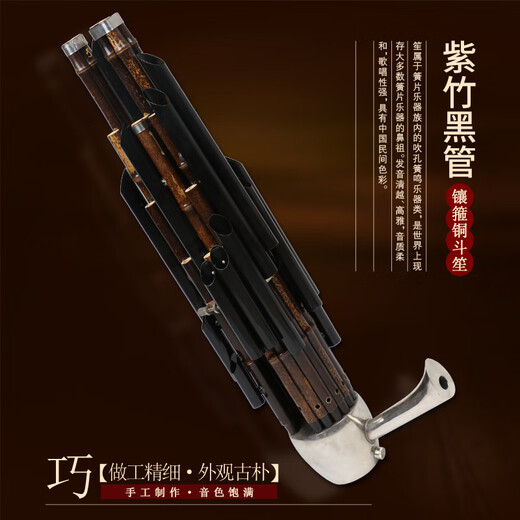 笙乐器初学者14簧方笙17簧21簧圆笙降B降CED调初学笙乐器 14簧紫竹白管铜斗笙-D调