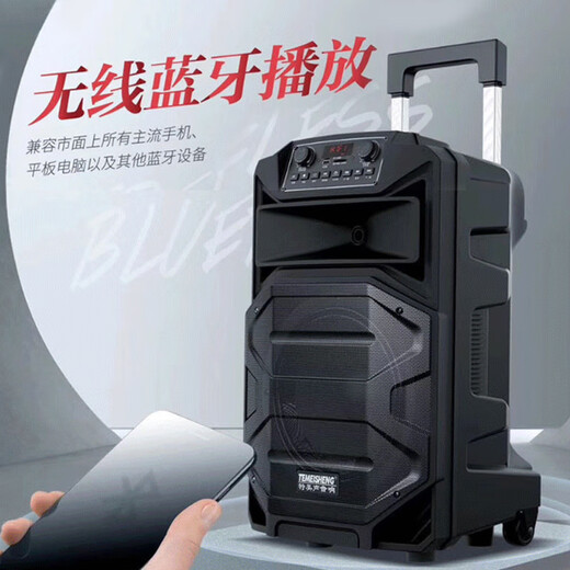 TEMEISHENG SL12-31Pro outdoor square dance karaoke audio high-power portable trolley Bluetooth mobile speaker 12-inch standard + 2 wireless microphones + gift bag (gift)