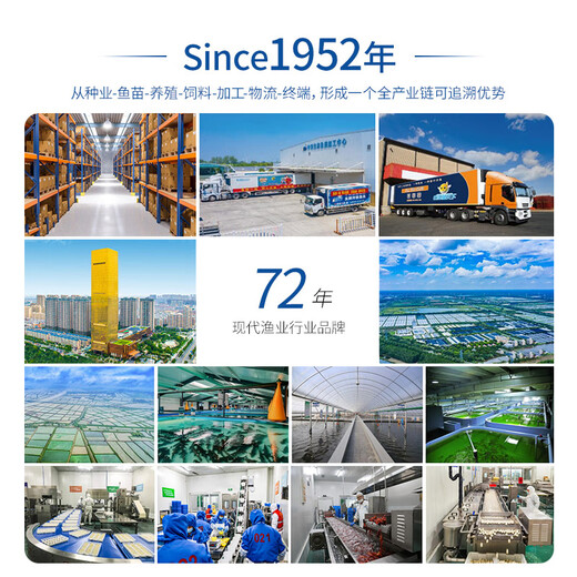 Zhongyang Yutianxia no-slurry black fish fillet 300g pickled fish hot pot fresh source straight hair no-wash no-cut boiled fish fillet