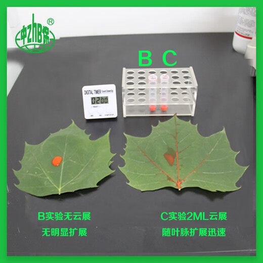 Zhongbao (ZhB) pesticide, silicone synergist, enhances pesticide utilization, general purpose for crop diseases and insect pests, 50g/bottle