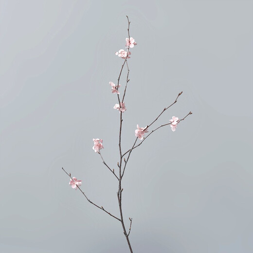Peach blossom branch, peach blossom, fake peach blossom branch, peach blossom decoration, peach blossom dried flower bouquet, home furnishings, fake simulated peach blossom branch, single dried flower vase, decorative ornaments with vase, simulated flower set, one small peach blossom branch, about 60 cm long