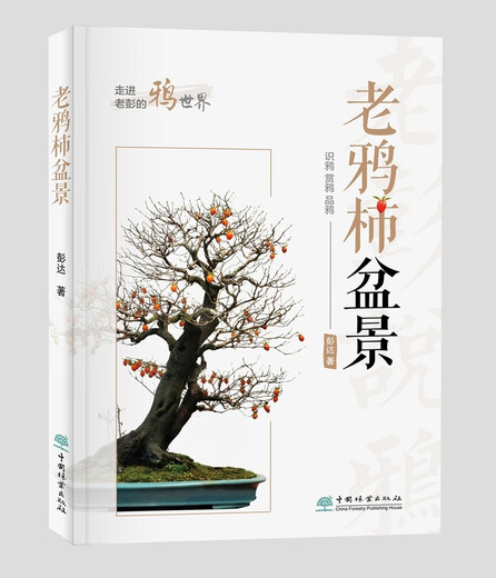 Lao Cang Persimmon Bonsai Pengda Grundkenntnisse über die Ausbreitung und Transplantationsform Kürzung Lao Cang Persimmon, Wartungsfähigkeiten, Produktionstipps usw. Bonsai Books 1475 China Forestry Publishing House