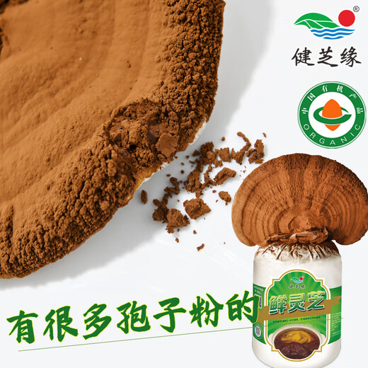 Jianzhiyuan Ganoderma lucidum spore powder robe pink red Ganoderma lucidum slices organic fresh