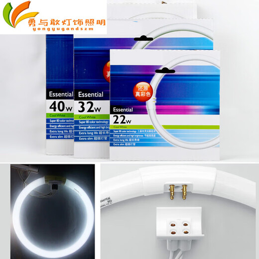 Changwan Ring Lamp T5T8 Circular Tletl5c22W32W40W Couleur à trois primaires lampe fluorescente à quatre broches TL5C 32W / 86 EB-C12222W Ballast électronique