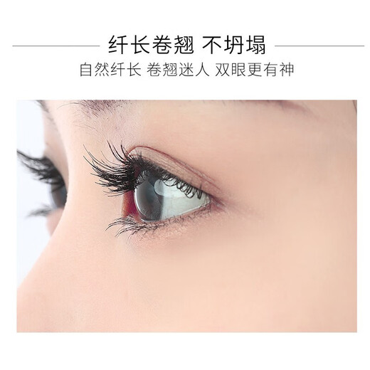 ZEESEA Colorful Curling Mascara Thick and Slim Waterproof Non-smudged Primer Color Lengthening Women Slim Style (Black)