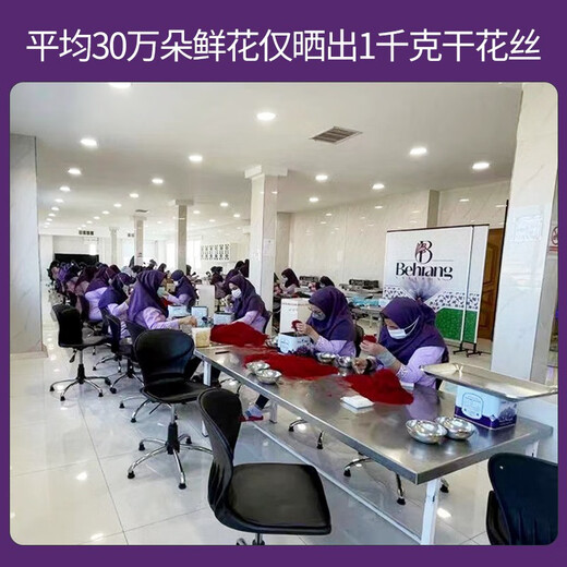 北京同仁堂藏红花西藏臧藏红花特级可搭伊朗藏红花泡水喝礼盒装特级藏红花种球非中药材大药房官方艦旗店 精选藏红花 5克/盒