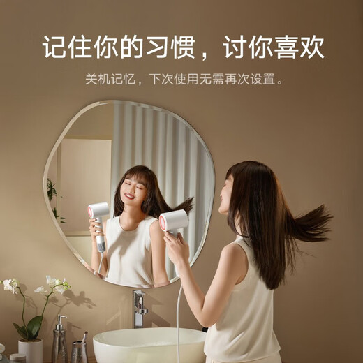 小米（MI） 米家高速吹风机H501SE家用大风力负离子护发速干降噪大功率 智能恒温吹风筒情人节礼物非IOT联动 米家高速吹风机H501SE白色