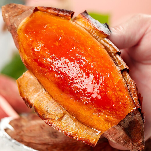 Luxi Coast Authentic Shandong Tobacco Potato No. 25 Super Sweet Sweet Potato Candied Tobacco Potato Fresh Sweet Potato Sweet Potato Baked Potato Straight from the Source Selected Medium Fruit Net Weight 4.5 Jin Jin equals 0.5 kg Single fruit 3-8 taels