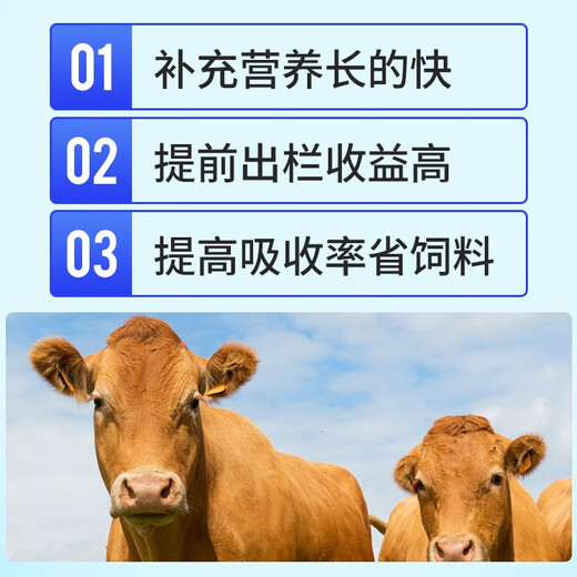 Animal husbandry Rumen Bao cattle and sheep rumen hormone fattening weight promotion growth stomach strengthening bulk fattening premix feed additive Rumen Bao 20Jin Jin equal to 0.5 kg, the whole barrel 10 bags