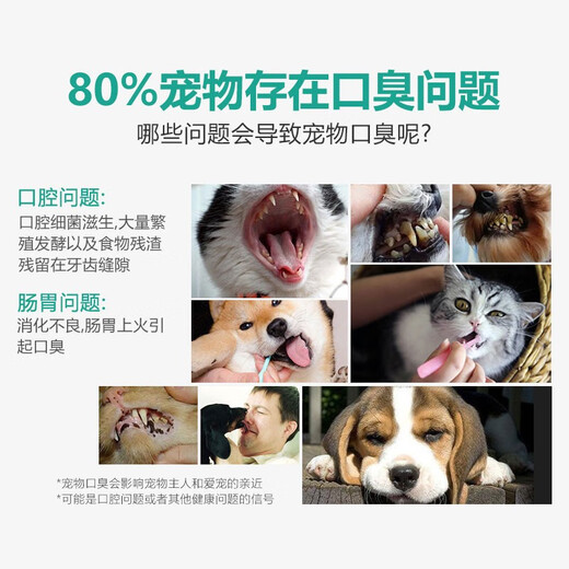 American Oxyfresh Teeth Cleaning Water Pet Mouthwash for Cats and Dogs Edible Oxygen Fresh Teeth Cleaning Water 473ml Tooth Cleaning Water 473ml + Travel Pack 30ml