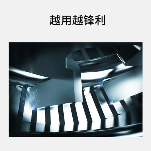 华而实适用飞科剃须刀刀头刀片2头刮胡刀FS711 719 821 871 873 875配件 2个刀头 （包含2刀2网）