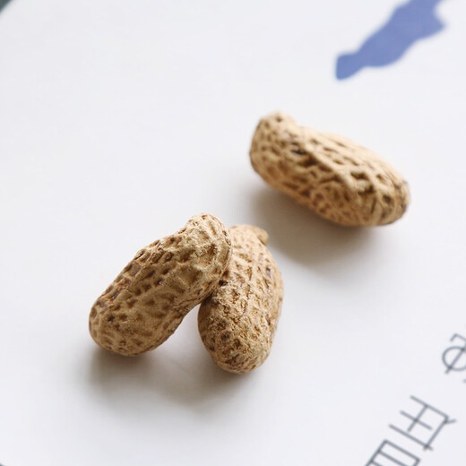 Tao Yunshang Yixing Zisha Tea Pet Simulated Peanut Melon Seeds Fun Tea Play Boutique Handmade Tea Table Tea Play Tea Ceremony Accessories 5 Zisha Peanuts