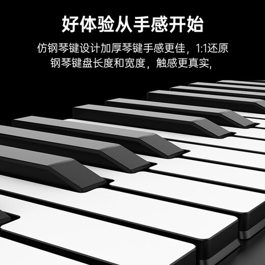 Terence Hand-rolled Piano 88 Key Professional Edition Folding Portable Electronic Keyboard Instrument