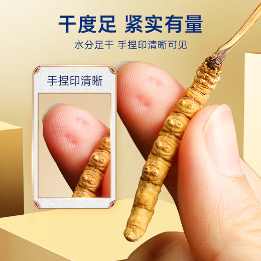 紫蓝花海3-4根/g 1g  冬虫夏草高品质虫草滋补品尝鲜【健康礼盒】