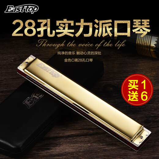 Easttop东方鼎德国进口音簧专业演奏口琴28孔复音重音口琴高级初学成人 28孔 G调 复音口琴-颜色留言
