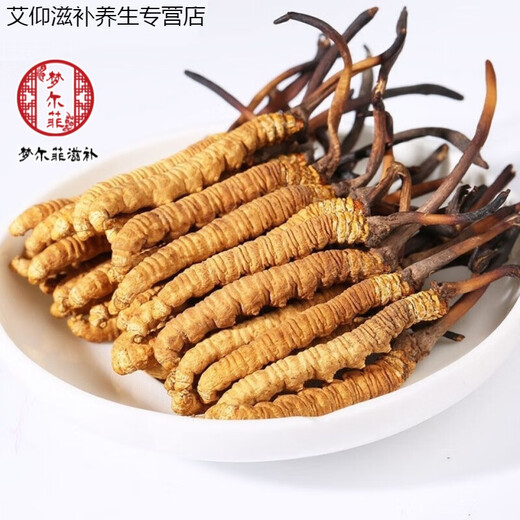 Ivanmai Authentic Cordyceps Cordyceps Cordyceps Cordyceps non-broken grass tube pack super large root gift box Liangshan Yifanmai Yifan five roots one bottle trial package
