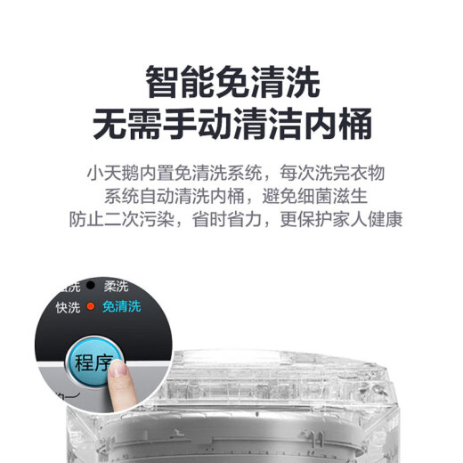 LittleSwan (LittleSwan) 8 kg Jin [Jin equals 0.5 kg] pulsator washing machine fully automatic healthy no-clean one-click dehydration rental artifact quality motor TB80V20