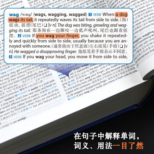 Collins COBUILD Advanced English-Chinese Learning Dictionary (9. Auflage)