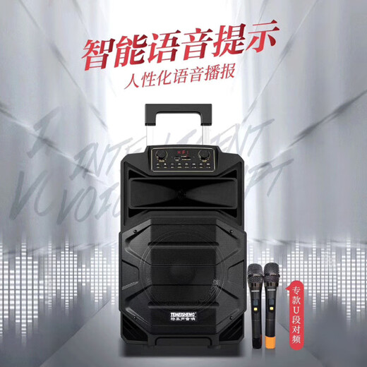 TEMEISHENG SL12-31Pro outdoor square dance karaoke audio high-power portable trolley Bluetooth mobile speaker 12-inch standard + 2 wireless microphones + gift bag (gift)
