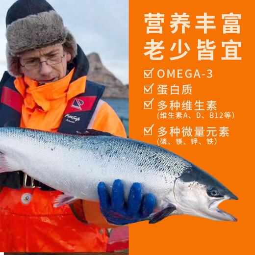 Fresh Jingcai Chilean Atlantic salmon salmon section net weight 2Jin Jin is equal to 0.5kg fresh fish