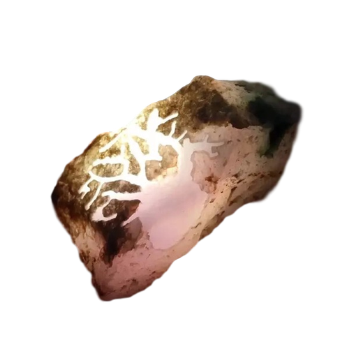 Jindai Jindai Burmese jade raw stone wool jade jade bracelet stone auction (live broadcast special auction) 100