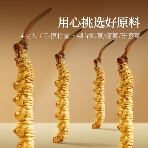 同仁堂品牌西藏野生冬虫夏草约5-6根/g13g约65根高端补品送老人礼物北京