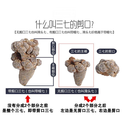 磊祥庄  三七云南文山春三七头无剪口田七 【50头500克-无剪口】