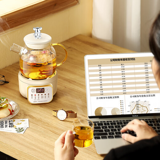 Mini Multifunctional Health Pot for Small Office Mini Home 2024 New Tea Maker Tea Pot Stew Pot Kettle Heat Resistant All-Glass Flower Teapot for One Person Smart Model 0.6L