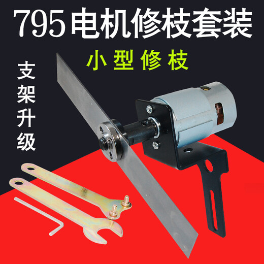 Yuechangsheng 795 Motor de poda de jardín de alta velocidad Motor DC poda DIY Motor pequeño 12V24V 795 795 Paquete de motor tres