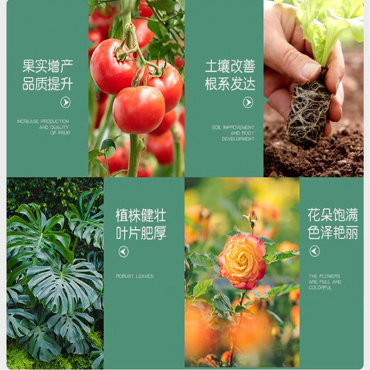 Russian imports of Arkham Hefei general garden fertilizer succulent flower fertilizer nitrogen, phosphorus and potassium fertilizer organic agricultural fertilizer Russian compound fertilizer 10Jin Jin equal to 0.5kg (shipped in separate packages