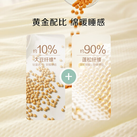 百丽丝家纺 豆泡泡抗菌被 豆泡泡抗菌冬被 150cm×210cm