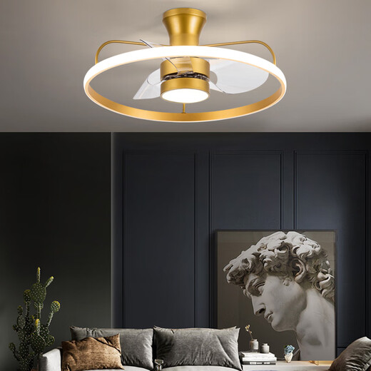 Benlanu Fan Lights Ceiling Fan Lights Living Room Household Simple Modern Fan Lights Restaurant Ceiling Integrated Pendant with Electric Fan 1283A White Ceiling Model + Change Light