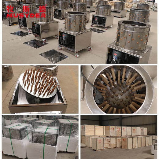 Máquina de depilación Mushide, máquina de depilación completamente automática, máquina de depilación de turbina, máquina todo en uno de acero inoxidable para aves pequeñas, enviada después de la desinfección, máquina de depilación de 60 tipos